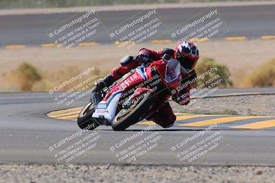 media/Oct-08-2022-SoCal Trackdays (Sat) [[1fc3beec89]]/Turn 14 (1050am)/